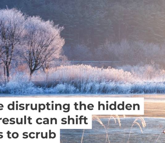 Warmer winters in normally snowy places can interfere with the important activities of microbes in the soil. Seogi/500px via Getty Images